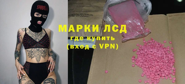 стаф Снежногорск