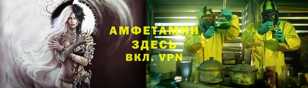 индика Балабаново