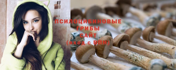 ECSTASY Балахна