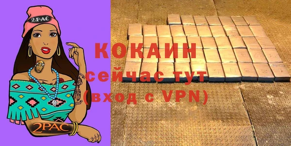 индика Балабаново