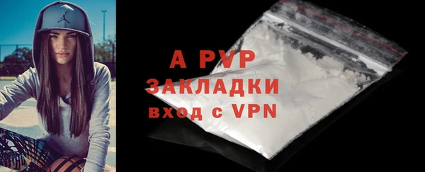 индика Балабаново