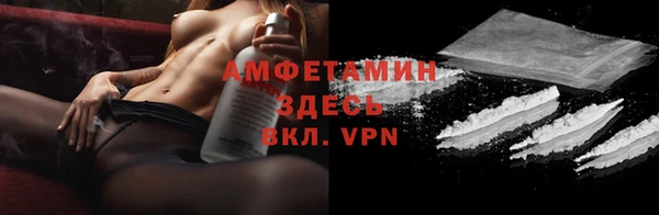 индика Балабаново