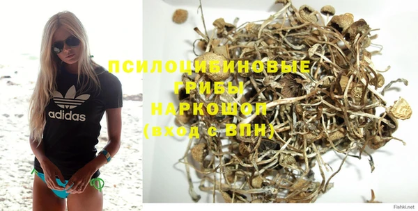 бошки Снежинск
