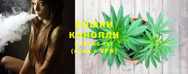 индика Балабаново