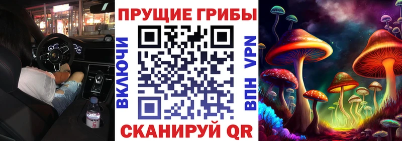 Галлюциногенные грибы ЛСД  это Telegram  Кремёнки 